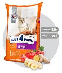 CLUB 4 PAWS Premium полнорационный сухой корм для взрослых кошек для здоровья мочевыделительной системы "URINARY", 14 кг цена и информация | Сухой корм для кошек | 220.lv