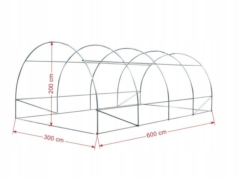 Siltumnīca ar logiem 600 x 300 cm цена и информация | Siltumnīcas | 220.lv