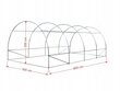 Siltumnīca ar logiem 600 x 300 cm цена и информация | Siltumnīcas | 220.lv