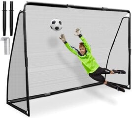 Futbola vārti, 300x200 cm cena un informācija | Futbola vārti un tīkls | 220.lv