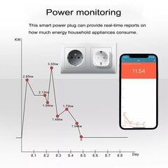 Viedā wifi elektrības kontaktligzda ar Tuya/Smartlife lietotni, Livman EU02 cena un informācija | Elektrības slēdži, rozetes | 220.lv