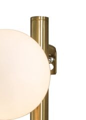 Товар с повреждением. Настенный светильник Aneta Lighting MOLEKYL цена и информация | Товары с повреждениями | 220.lv