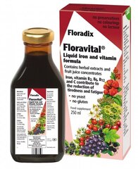 FLORADIX Floravital dzelzs (bezglutēna sastāvs) 250 ml цена и информация | Витамины, пищевые добавки, препараты для хорошего самочувствия | 220.lv