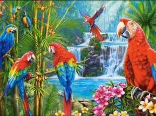 Пазл Встреча попугаев, 2000 деталей цена и информация | Пазлы | 220.lv