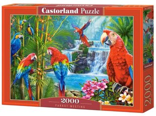 puzzle 2000 gabaliņu - papagailis cena un informācija | Puzles, 3D puzles | 220.lv