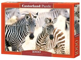 puzzle 1000 gabaliņi - zebras cena un informācija | Puzles, 3D puzles | 220.lv