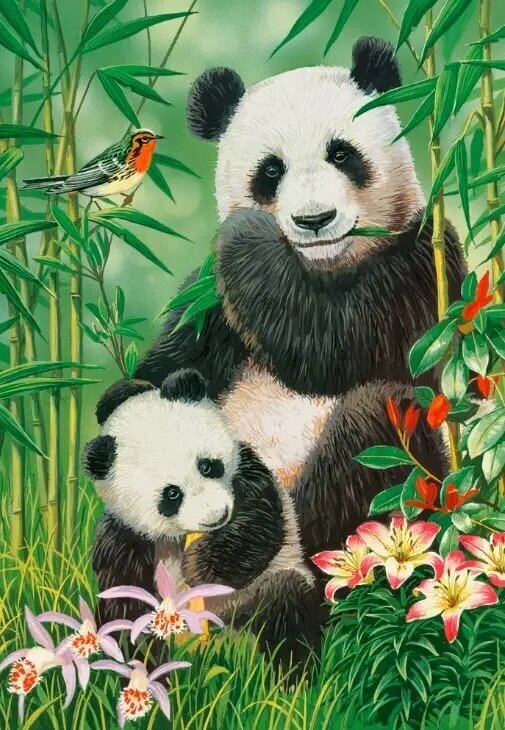 Puzle Panda, 1000 d. cena un informācija | Puzles, 3D puzles | 220.lv