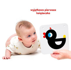 Контрастные карточки CzuCzu цена и информация | Игрушки для малышей | 220.lv