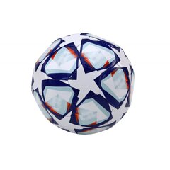 Lean Toys futbola bumba, 24 cm цена и информация | Игрушки для песка, воды, пляжа | 220.lv