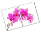 Griešanas dēlis Rozā orhideja, 40x52cm cena un informācija | Griešanas dēlīši | 220.lv