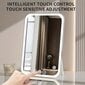 LED spogulis Tech Zone, 23,5 x 16,5 cm цена и информация | Kosmētikas somas, spoguļi | 220.lv