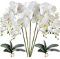Mākslīgā orhideja, 5 gab. cena un informācija | Mākslīgie ziedi | 220.lv