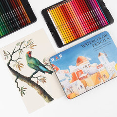 Akvareļu zīmuļi bērniem, 49 krāsas cena un informācija | Modelēšanas un zīmēšanas piederumi | 220.lv