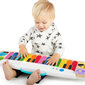Klavieres Baby Einstein Magic Touch cena un informācija | Rotaļlietas zīdaiņiem | 220.lv