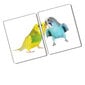 Griešanas dēlis Papagaiļi, 40x52cm cena un informācija | Griešanas dēlīši | 220.lv