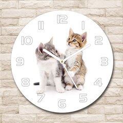 Stikla Pulkstenis Divi mazi kaķi, 30cm cena un informācija | Pulksteņi | 220.lv