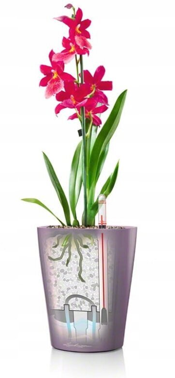 Orhideju pods Lechuza, 15x15x18 cm cena un informācija | Puķu podi | 220.lv