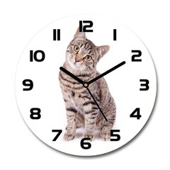 Часы настенные Кот цена и информация | Часы | 220.lv