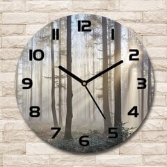 Stikla Pulkstenis Migla mežā, 30cm цена и информация | Часы | 220.lv