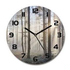 Stikla Pulkstenis Migla mežā, 30cm цена и информация | Часы | 220.lv