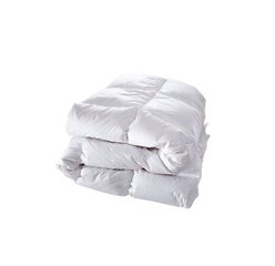 Одеяло для дома Fluxar AK1050 220 см x 240 цена и информация | Одеяла | 220.lv