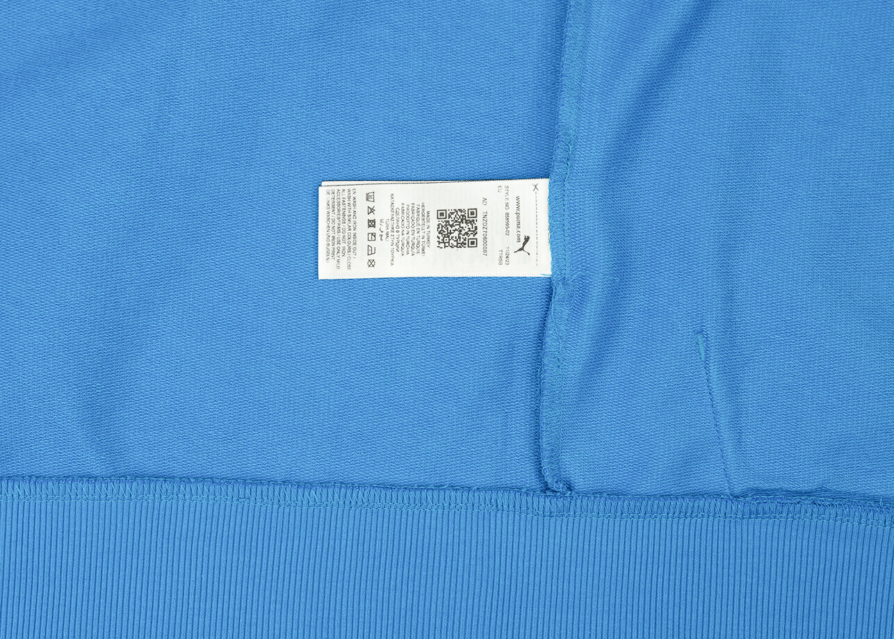 Džemperis vīriešiem Puma Team Goal, zils cena un informācija | Vīriešu jakas | 220.lv
