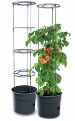 Набор горшков Prosperplast Tomato Grower, 6 шт., 29,5 x 115,2 см цена и информация | Ящики для рассады | 220.lv