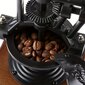 Tech Zone vintage rokas kafijas dzirnavas цена и информация | Kafijas kannas, tējkannas | 220.lv