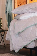 Одеяло для дома Fluxar AK1001 200 см x 220 цена и информация | Одеяла | 220.lv