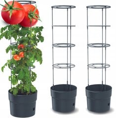 Набор горшков для выращивания томатов, 2 шт. цена и информация | Вазоны для рассады и пересадки | 220.lv
