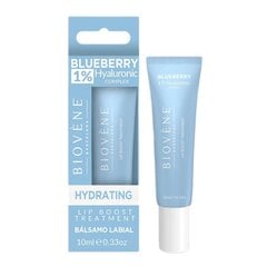 Lūpu serums Biovene Blueberry 1% Hyaluronic Hydrating Lip Boost, 10 ml cena un informācija | Lūpu krāsas, balzāmi, spīdumi, vazelīns | 220.lv