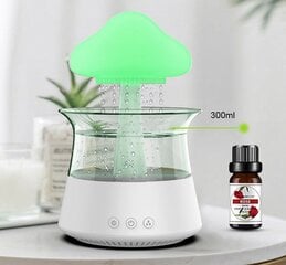 Rain Cloud mitrinātājs ar nakts gaismu, 300ml цена и информация | Увлажнители воздуха | 220.lv