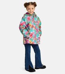 Huppa куртка для девочек 17840004*44099, зелёная цена и информация | Куртки, пальто для девочек | 220.lv