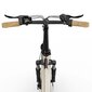 Elektriskais velosipēds OneSport OT16, 20", melns цена и информация | Elektrovelosipēdi | 220.lv