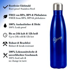 Питьевая бутылка из нержавеющей стали Young, синяя 1л цена и информация | Фляги для воды | 220.lv