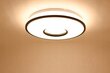 Led-lux griestu lampa ar konsoli cena un informācija | Griestu lampas | 220.lv