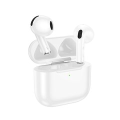 Borofone TWS Bluetooth Earphones BW64 True white цена и информация | Наушники | 220.lv