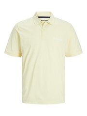 Jack & Jones bērnu polo krekls 12249749*02, balts 5715508678730 цена и информация | Рубашки для мальчиков | 220.lv