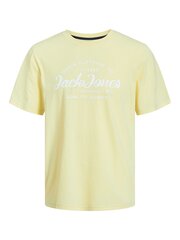 Jack & Jones bērnu T-krekls 12249723*02, dzeltens 5715510996686 cena un informācija | Zēnu krekli | 220.lv