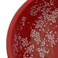Izlietne uz galda liekama, melna/sarkana, 41x14cm, keramika цена и информация | Izlietnes | 220.lv
