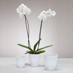 Baltas krištolinis orchidėjų vazonas, aukštis 12 cm цена и информация | Вазоны | 220.lv