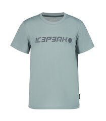 Icepeak детская футболка Kemberg  51724-5*515, серый  цена и информация | Рубашки для мальчиков | 220.lv