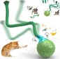 Interaktīvā rotaļlieta kaķiem Smart Cat Ball Green Haplix цена и информация | Rotaļlietas kaķiem | 220.lv