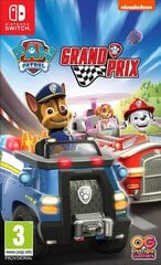 Spēle Paw Patrol: Grand Prix (Nintendo Switch game) Pre-order cena un informācija | Datorspēles | 220.lv