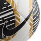 Futbola bumba Nk Nike Pitch Gold, 5 цена и информация | Futbola bumbas | 220.lv