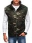 Veste vīriešiem Kamu V62-54645, zaļa цена и информация | Vīriešu vestes | 220.lv