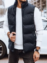 Veste vīriešiem Novar TX4570-54119, zila cena un informācija | Vīriešu vestes | 220.lv