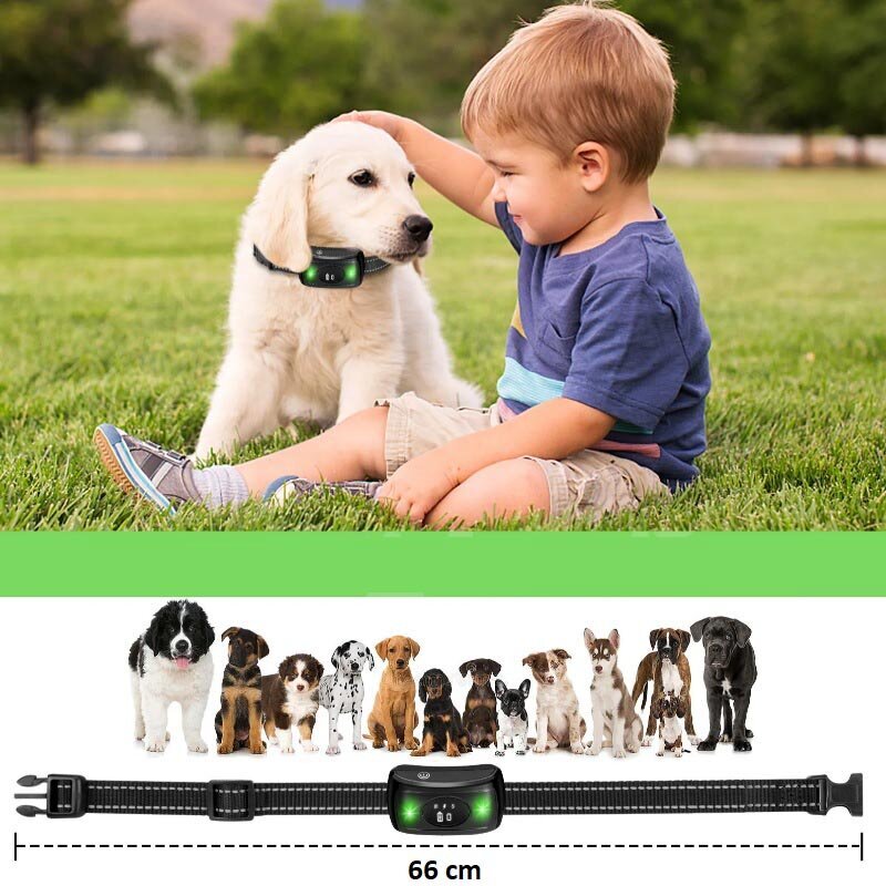 Suņu apmācības kaklasiksna K260 cena un informācija | Piederumi suņu trenēšanai | 220.lv