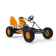 Двухместный педальный картинг Berg Duo Coaster BFR цена и информация | Игрушки для мальчиков | 220.lv