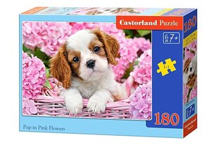 Puzle Castorland Pup in Pink Flower, 180 gab. cena un informācija | Puzles, 3D puzles | 220.lv